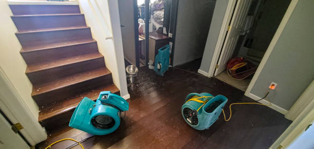 Best Commercial water damage restoration  in Banks, OR
