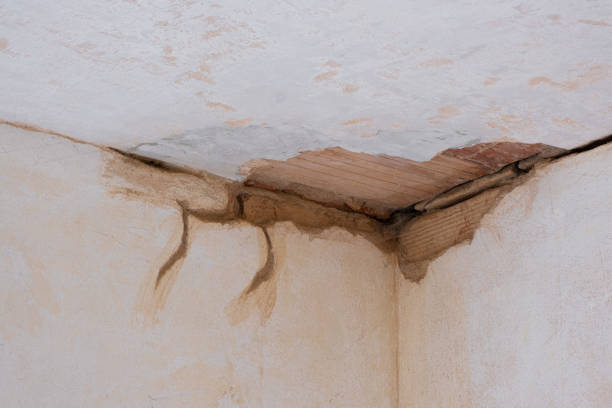 Best 24-hour water damage restoration  in Banks, OR