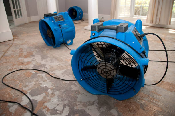 Best Basement water damage restoration  in Banks, OR