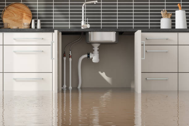 Best Sewage cleanup and water damage restoration  in Banks, OR